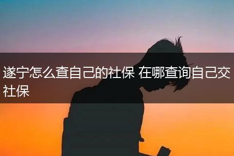遂宁怎么查自己的社保 在哪查询自己交社保