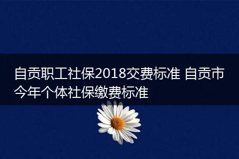 自贡职工社保2018交费标准 自贡市今年个体社保缴费标准