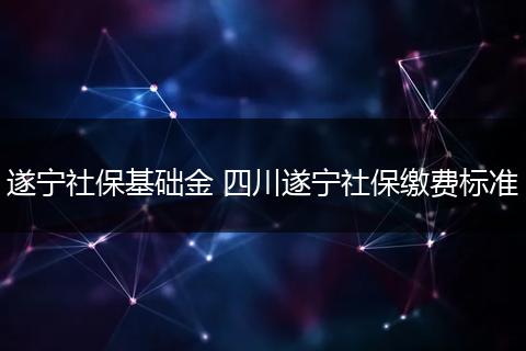 遂宁社保基础金 四川遂宁社保缴费标准