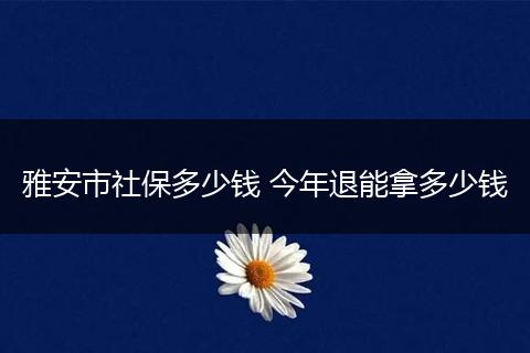 雅安市社保多少钱 今年退能拿多少钱