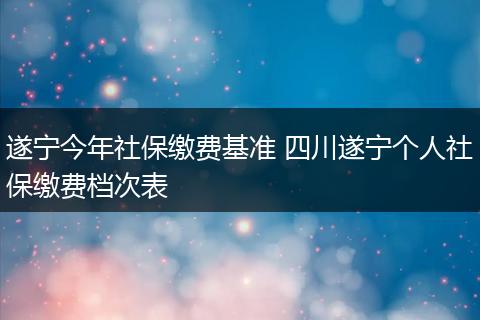 遂宁今年社保缴费基准 四川遂宁个人社保缴费档次表