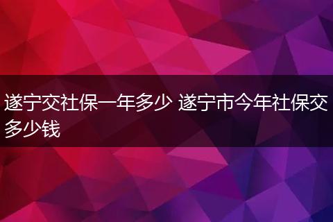 遂宁交社保一年多少 遂宁市今年社保交多少钱