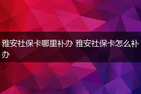 雅安社保卡哪里补办 雅安社保卡怎么补办