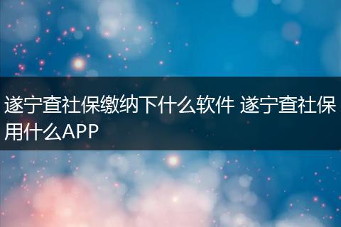 遂宁查社保缴纳下什么软件 遂宁查社保用什么APP