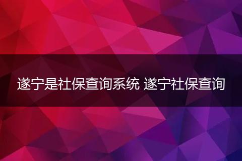 遂宁是社保查询系统 遂宁社保查询
