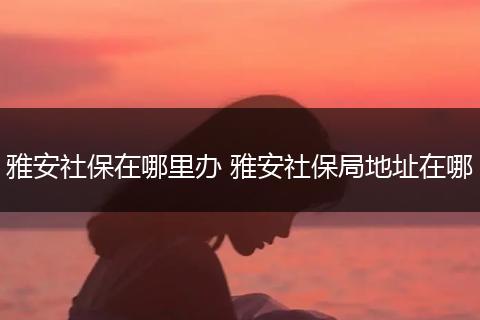 雅安社保在哪里办 雅安社保局地址在哪