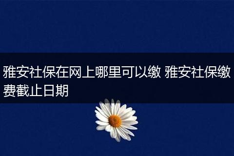 雅安社保在网上哪里可以缴 雅安社保缴费截止日期
