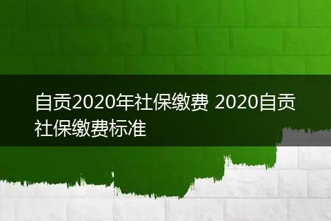 自贡2020年社保缴费 2020自贡社保缴费标准