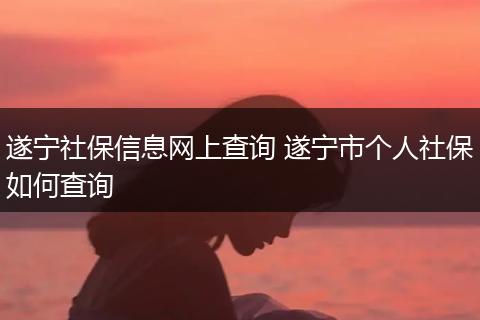遂宁社保信息网上查询 遂宁市个人社保如何查询