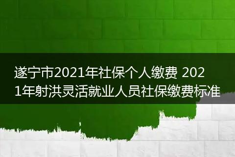 遂宁市2021年社保个人缴费 2021年射洪灵活就业人员社保缴费标准