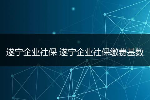 遂宁企业社保 遂宁企业社保缴费基数