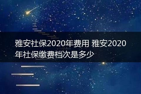 雅安社保2020年费用 雅安2020年社保缴费档次是多少