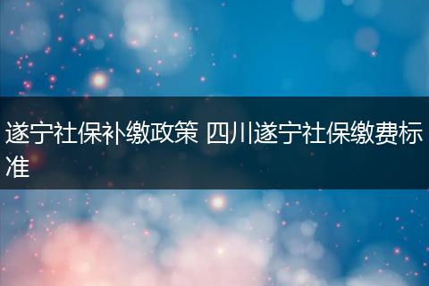 遂宁社保补缴政策 四川遂宁社保缴费标准