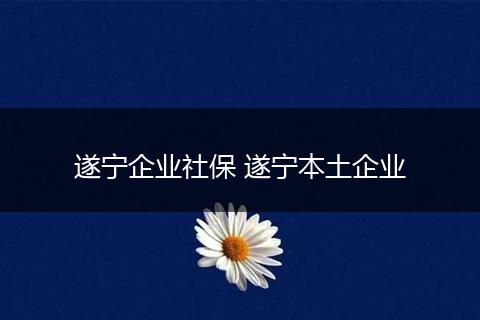 遂宁企业社保 遂宁本土企业