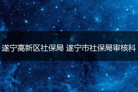遂宁高新区社保局 遂宁市社保局审核科