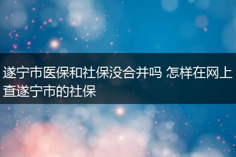 遂宁市医保和社保没合并吗 怎样在网上查遂宁市的社保