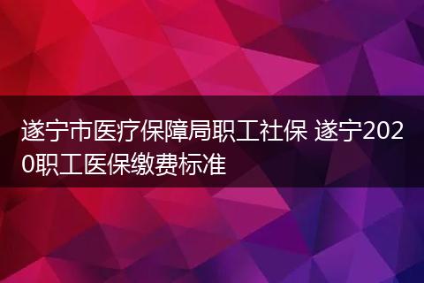 遂宁市医疗保障局职工社保 遂宁2020职工医保缴费标准