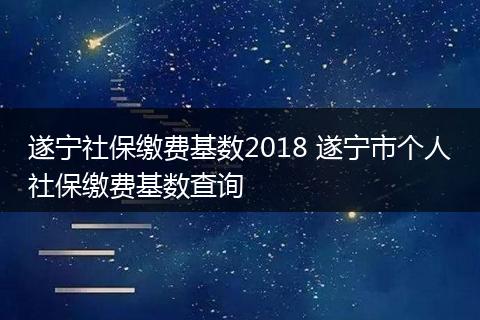 遂宁社保缴费基数2018 遂宁市个人社保缴费基数查询