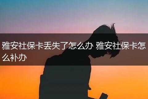 雅安社保卡丢失了怎么办 雅安社保卡怎么补办