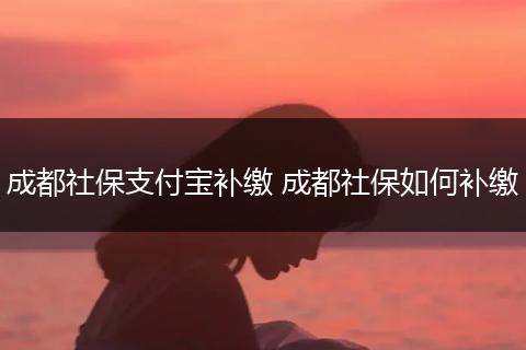 成都社保支付宝补缴 成都社保如何补缴