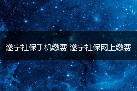 遂宁社保手机缴费 遂宁社保网上缴费