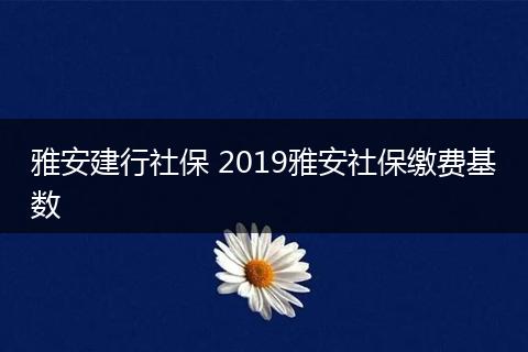 雅安建行社保 2019雅安社保缴费基数