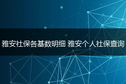 雅安社保各基数明细 雅安个人社保查询