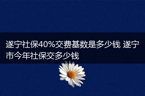 遂宁社保40%交费基数是多少钱 遂宁市今年社保交多少钱