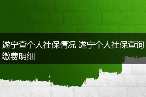 遂宁查个人社保情况 遂宁个人社保查询缴费明细