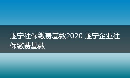 遂宁社保缴费基数2020 遂宁企业社保缴费基数