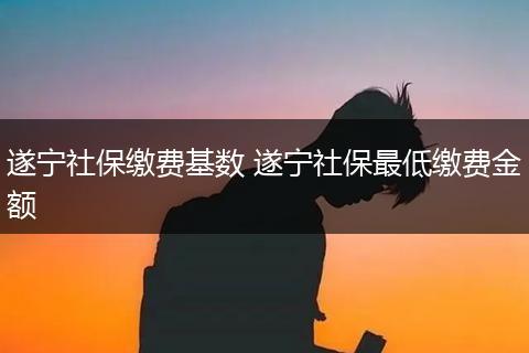 遂宁社保缴费基数 遂宁社保最低缴费金额
