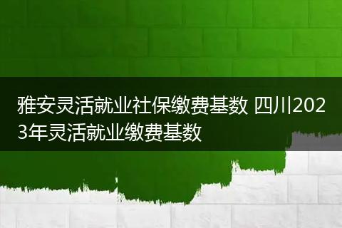 雅安灵活就业社保缴费基数 四川2023年灵活就业缴费基数