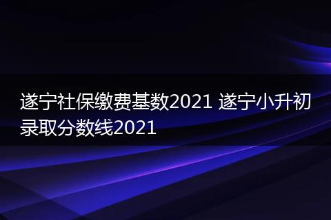 遂宁社保缴费基数2021 遂宁小升初录取分数线2021