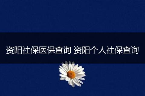 资阳社保医保查询 资阳个人社保查询