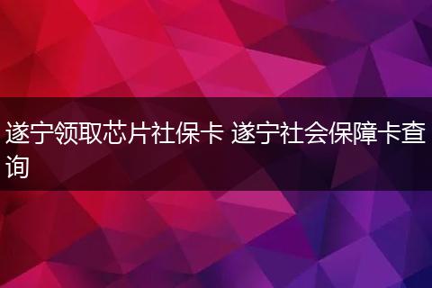 遂宁领取芯片社保卡 遂宁社会保障卡查询