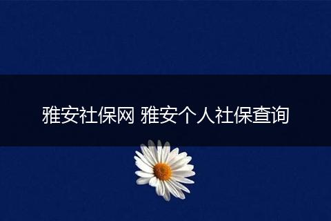 雅安社保网 雅安个人社保查询