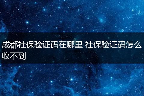 成都社保验证码在哪里 社保验证码怎么收不到