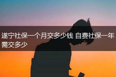 遂宁社保一个月交多少钱 自费社保一年需交多少
