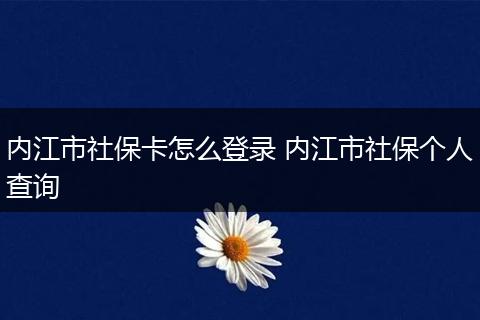 内江市社保卡怎么登录 内江市社保个人查询