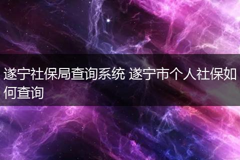 遂宁社保局查询系统 遂宁市个人社保如何查询