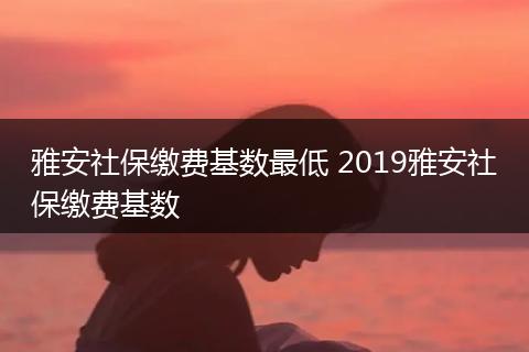 雅安社保缴费基数最低 2019雅安社保缴费基数