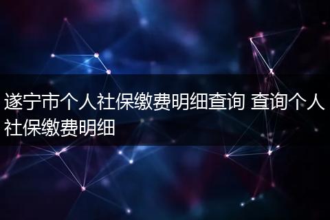 遂宁市个人社保缴费明细查询 查询个人社保缴费明细