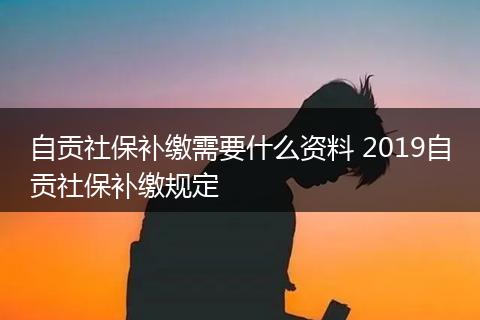 自贡社保补缴需要什么资料 2019自贡社保补缴规定