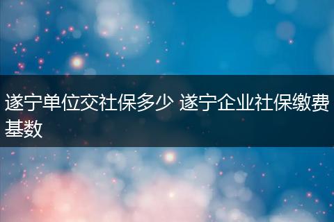 遂宁单位交社保多少 遂宁企业社保缴费基数