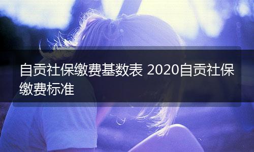 自贡社保缴费基数表 2020自贡社保缴费标准