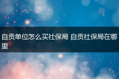 自贡单位怎么买社保局 自贡社保局在哪里