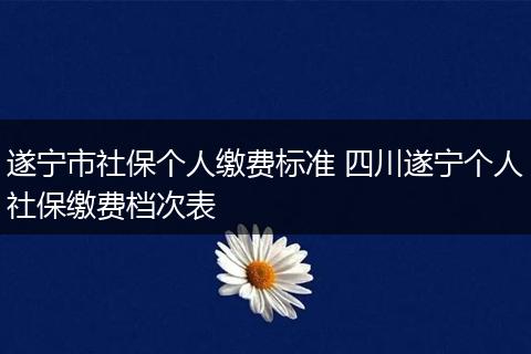 遂宁市社保个人缴费标准 四川遂宁个人社保缴费档次表