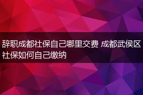辞职成都社保自己哪里交费 成都武侯区社保如何自己缴纳