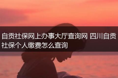 自贡社保网上办事大厅查询网 四川自贡社保个人缴费怎么查询