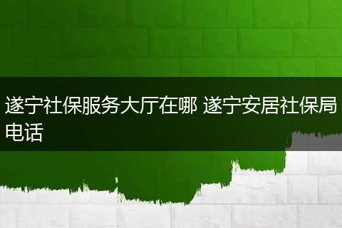 遂宁社保服务大厅在哪 遂宁安居社保局电话